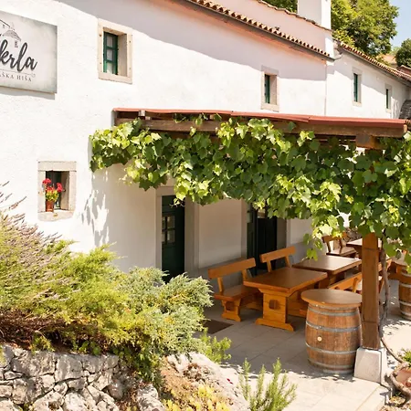 Kraska Hisa Skrla 度假居 迪瓦卡